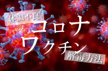 【コロナワクチン接種記録】解毒、体内の炎症を抑える